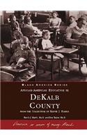 African American Education in Dekalb County