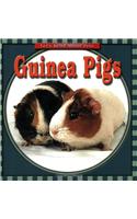 Guinea Pigs