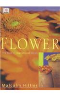Malcolm Hillier's Flowers