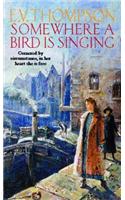 Somewhere A Bird Is Singing