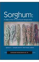 Sorghum