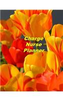 Charge Nurse Planner