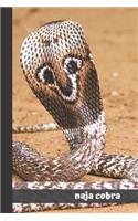 Naja Cobra