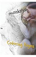 Monkeys Coloring Pages: Beautiful Coloring Pages for Adults Relaxation