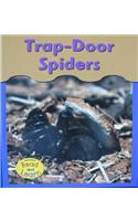 Trap-Door Spiders