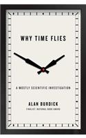Why Time Flies