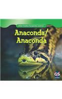 Anaconda