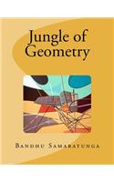 Jungle of Geometry