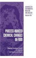 Process-Induced Chemical Changes in Food