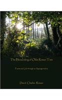 The Blossoming of Olde Rowan Tree