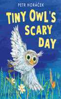 Tiny Owl's Scary Day