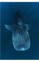 The Whale Shark Journal: 150 page lined notebook/diary