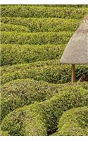 Awesome Green Hedge Maze at Glendurgan Gardens in Cornwall England Journal: 150 Page Lined Notebook/Diary