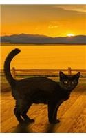 Cool Black Cat Against a Golden Sky Journal: 150 Page Lined Notebook/Diary
