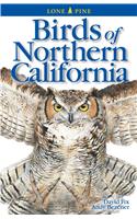 Birds of Northern California