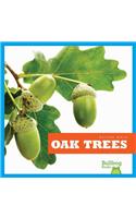 Oak Trees