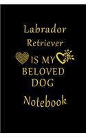 Labrador Retriever Is My Beloved Dog Notebook: Lined Journal, Diary Gift For Labrador Retriever Lovers.