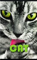 Cat Note Monthly 2020 Planner 12 Month Calendar