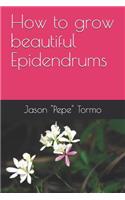 How to grow beautiful Epidendrums