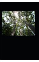 100 Poems