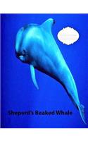 Shepherd's Beaked Whale Wide Ruled Line Paper Composition Book
