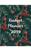 Budget Planner 2019: 12 Month Budget Planner Book, Budget Organizer Journal Notebook Finance Planner, Money Organizer, Debt Tracker