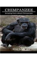 Amazing Facts about Chimpanzee