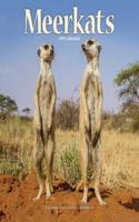 Meerkats Calendar 2019