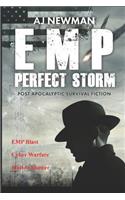 Emp Perfect Storm: Book 1 - Post Apocalyptic Survival Fiction