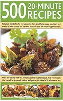 500 20 MINUTE RECIPES
