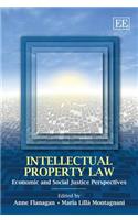 Intellectual Property Law: Economic and Social Justice Perspectives