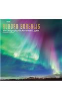 Aurora Borealis the Magnificent Northern Lights 2020 Square Foil