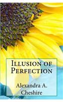 Illusion of Perfection