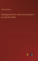 Développement de la vessie, de la prostate et du canal de l'uréthre