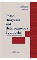 Phase Diagrams and Heterogeneous Equilibria