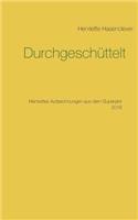 Durchgeschüttelt: Henriettes Aufzeichnungen aus dem Superjahr 2016(German)