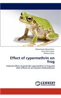 Effect of cypermethrin on frog