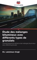 Étude des mélanges bitumineux avec différents types de granulats