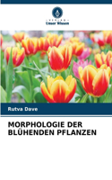 Morphologie Der Blühenden Pflanzen