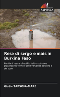 Rese di sorgo e mais in Burkina Faso