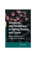 Telomeres and Telomerase in Aging, Disease, and Cancer