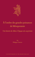 À l’ombre des grandes puissances de Mésopotamie: Une histoire du Suhu à l’époque néo-assyrienne(114 Culture and History of the Ancient Near East)