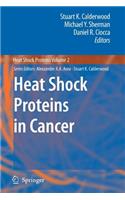 Heat Shock Proteins in Cancer