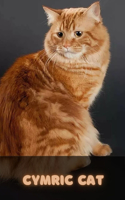 The Cymric Cat Breed