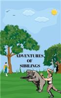 Adventures of Siblings