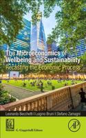 Microeconomics of Wellbeing and Sustainability