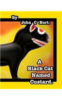 A Black Cat Named Custard.