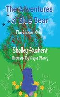 Adventures of Blue Bear