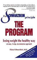 Schwarzbein Principle, the Program