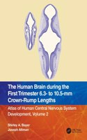 Human Brain During the First Trimester 6.3- To 10.5-MM Crown-Rump Lengths